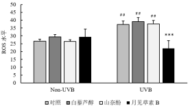 1646107128308125.png 1646107128308125.png